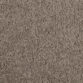 School Grey 749 School Grey 749