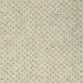 White Dune 13