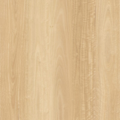 Summer Blackbutt 540