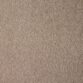 Taupe Tint 27