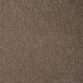 Sherwood Tan 34