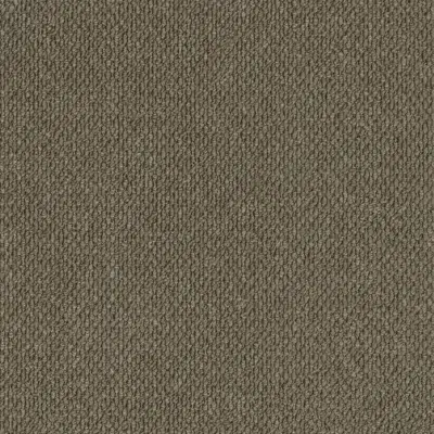 Selwyn 2921