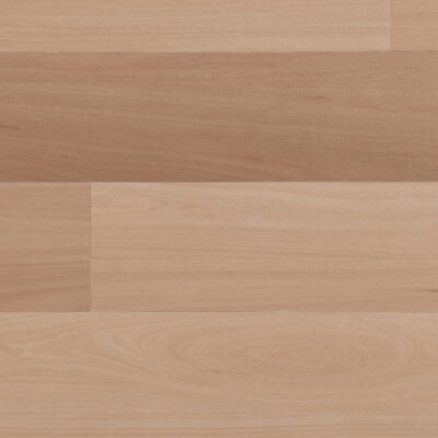 Blackbutt