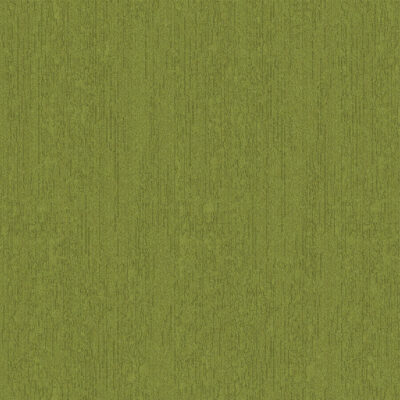 Lichen 9200