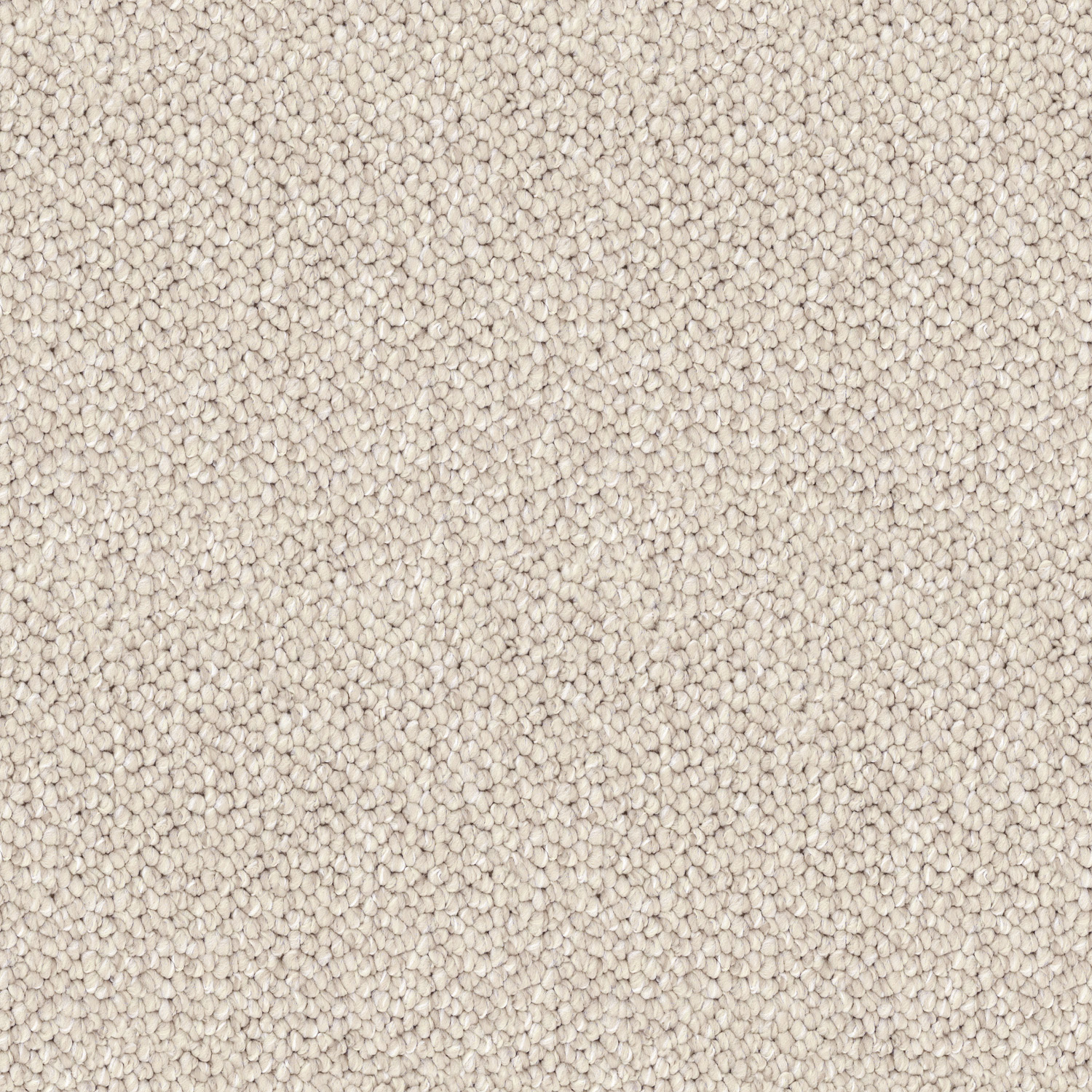 Jute 14 Jute 14